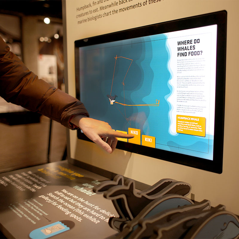 A hand touching a wall-mounted screen headed “Where do whales find food?”, showing an illustrated diagram of a whale’s feeding range.